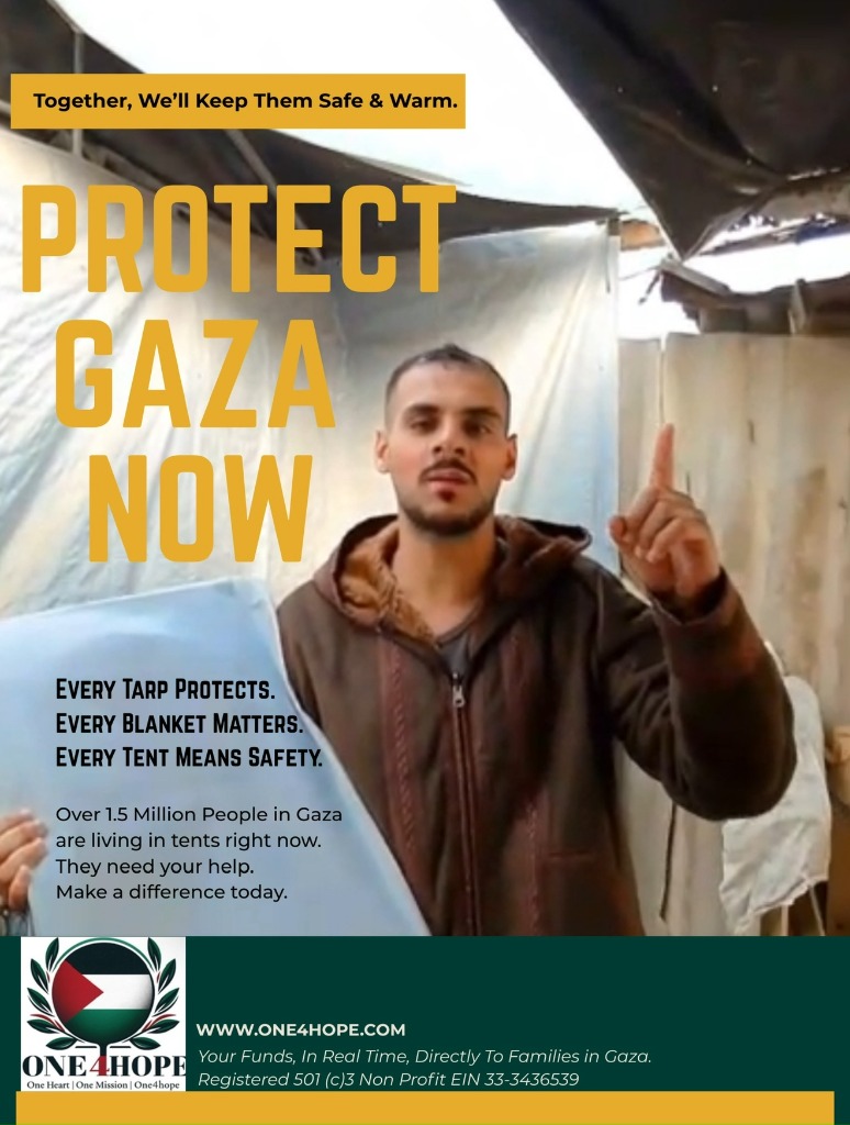 Safe Shelter Support